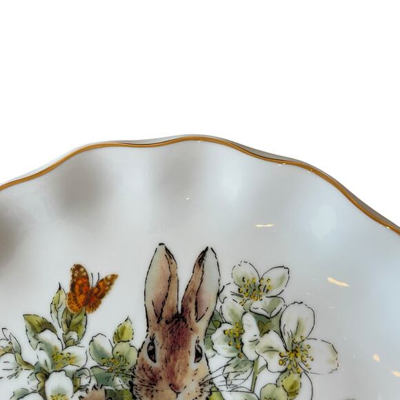 Beatrix Potter Peter Rabbit Easter Flowers & Butterflies Dinner Plates Set of 4 - Picture 7 of 15